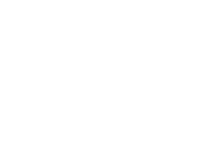 hubspot-whitelogo